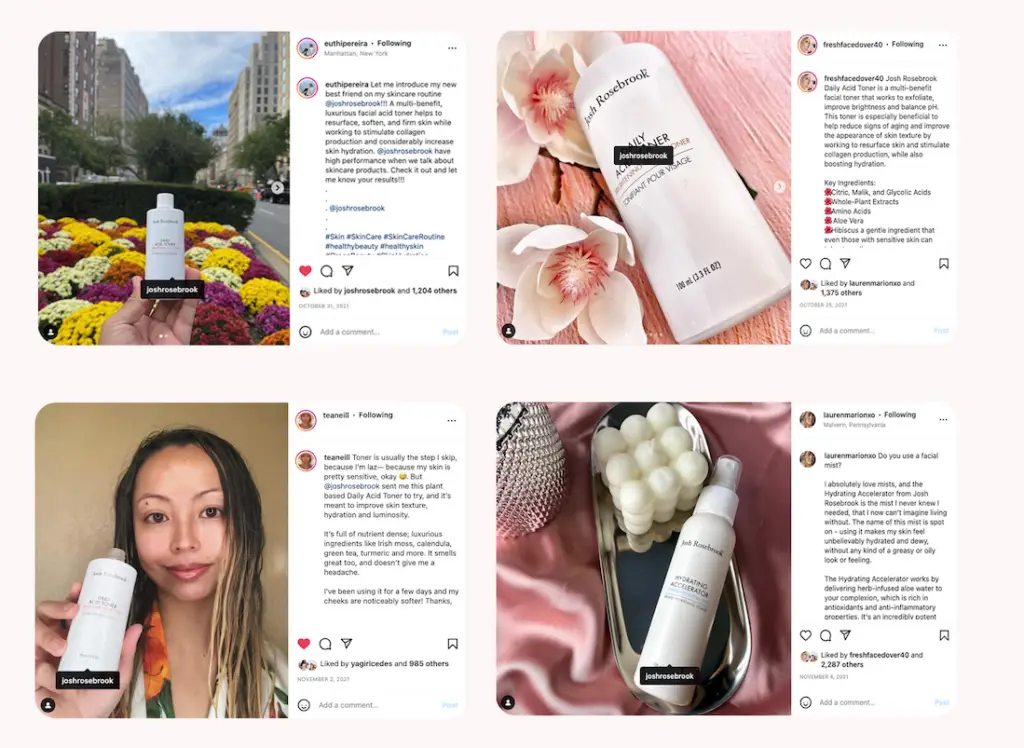 Examples of influencer content that was published to social media 